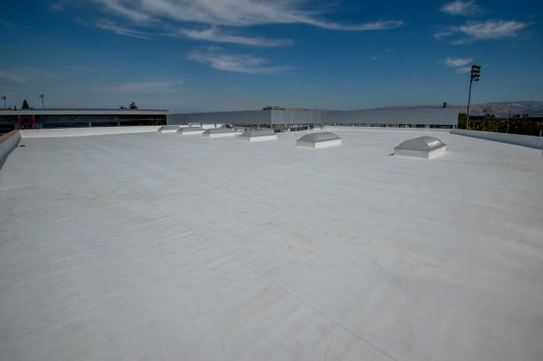 Best Asphalt Shingle Roofing  in Burnet, TX