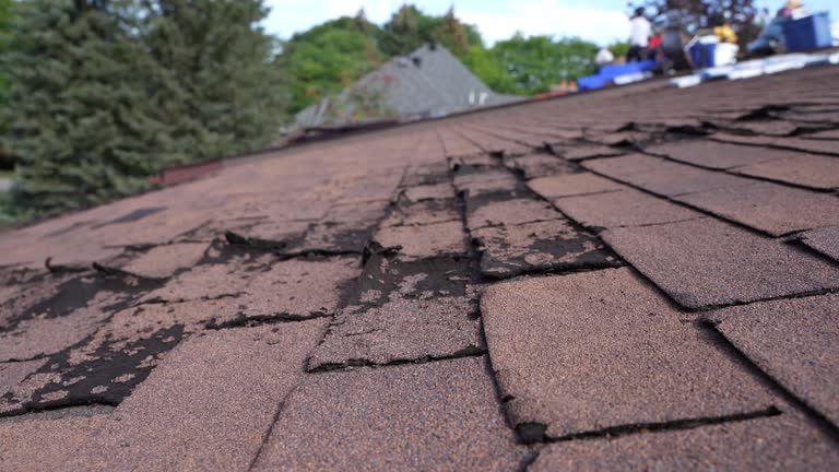 Best Roof Maintenance and Cleaning  in Burnet, TX