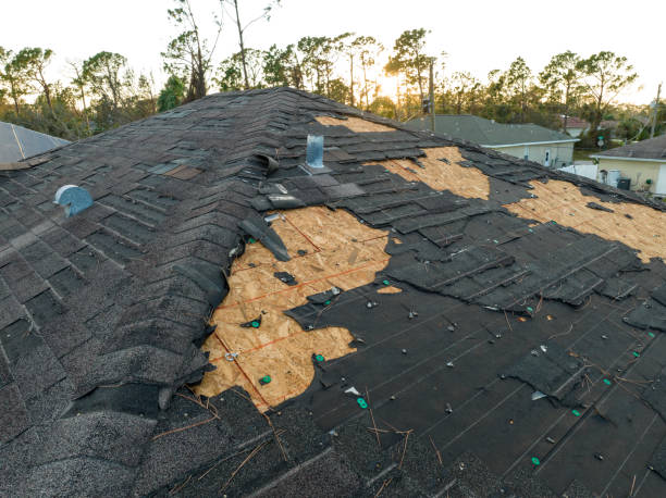 Best Solar Panel Roofing Installation  in Burnet, TX